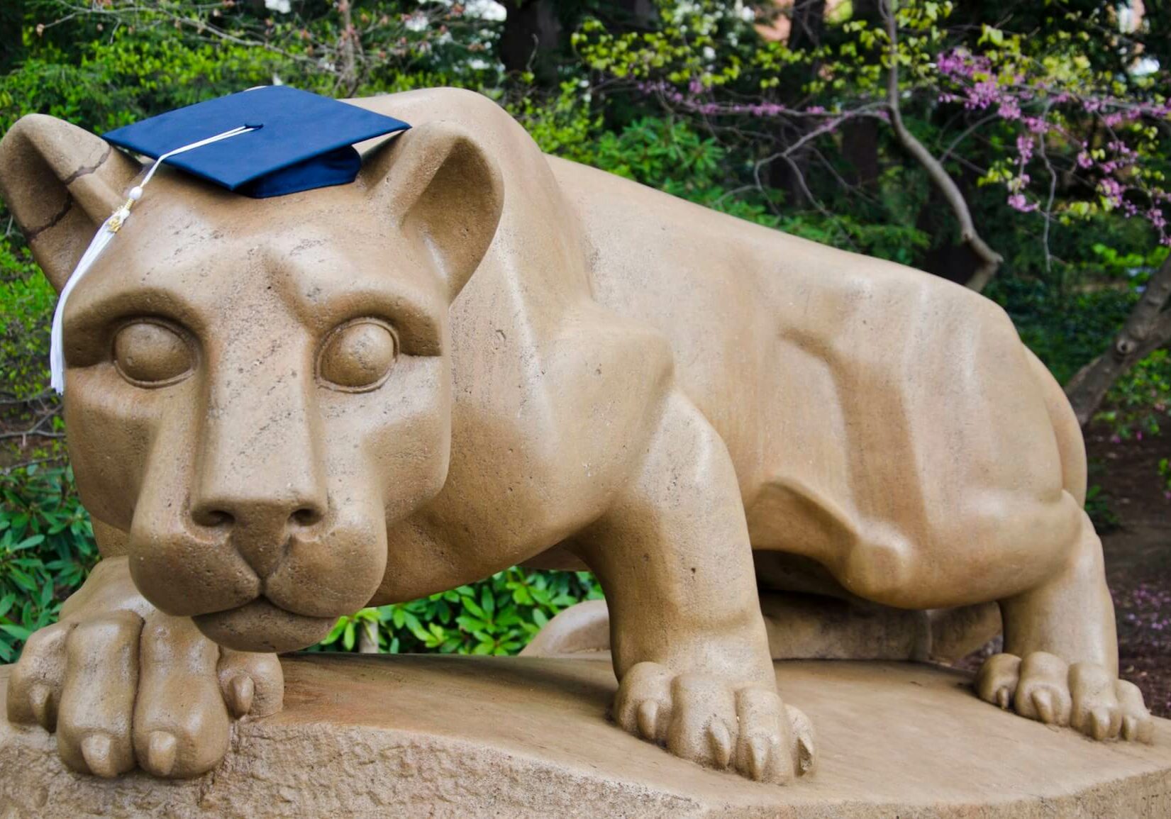 Penn State Nittany Lion graduation cap