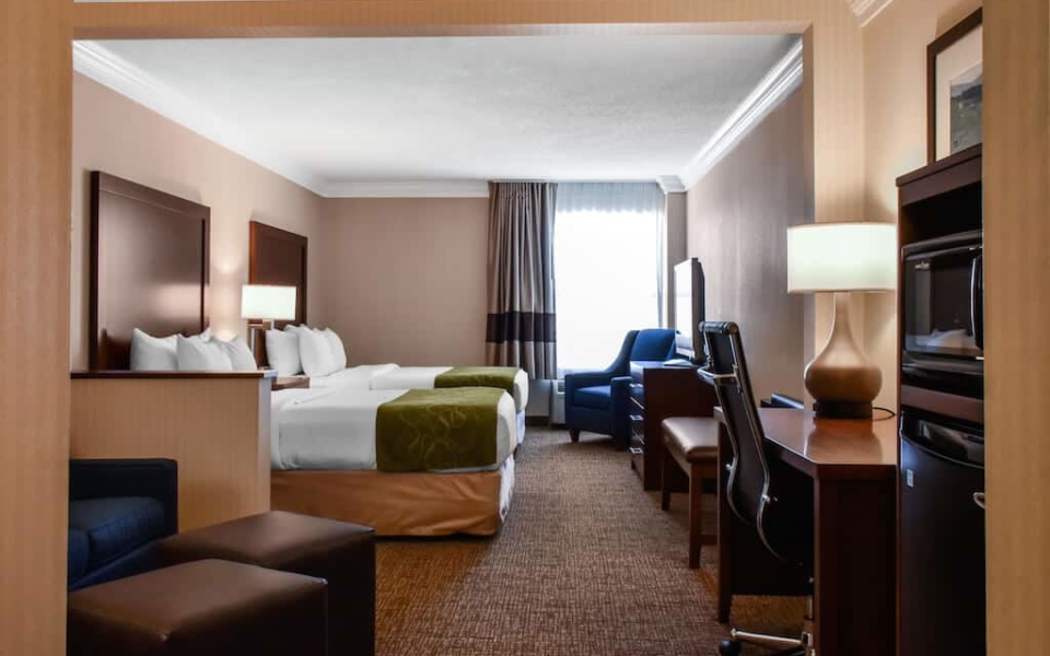 Comfort Suites Carlisle Pa Lion Country Lodging