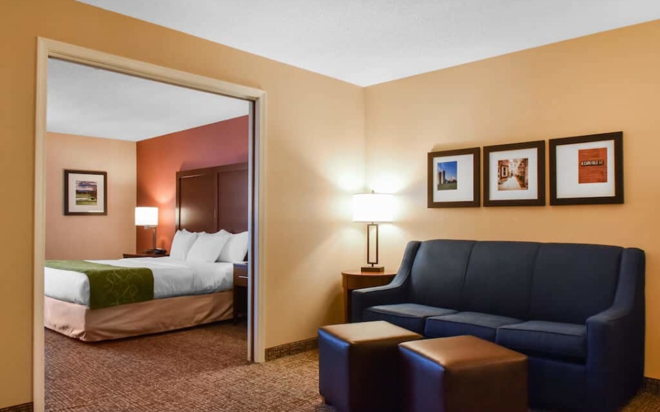 Comfort Suites Carlisle Pa Lion Country Lodging