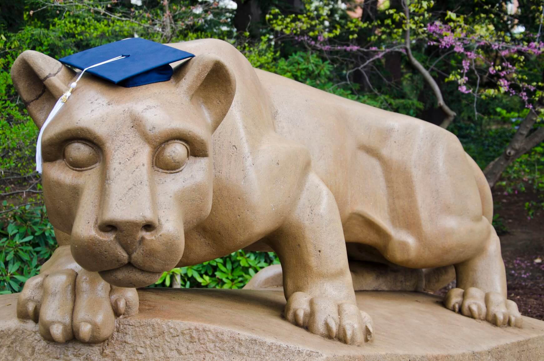 Penn State Nittany Lion graduation cap